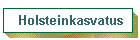 Holsteinkasvatus
